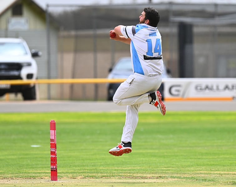 Berri skittled by brilliant Bluetongues