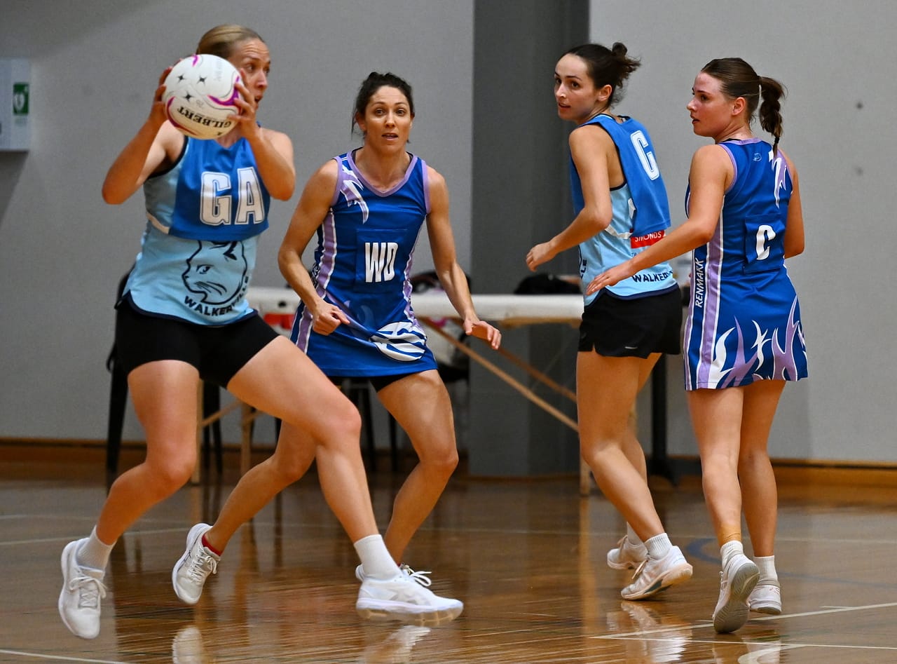 Cats planning on coming back for more