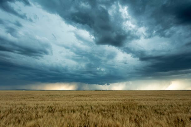 Online course examines farming, climate post image