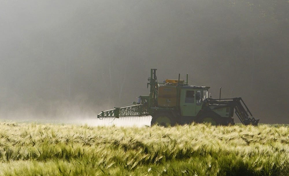 Plan before you spray for weeds this spring post image