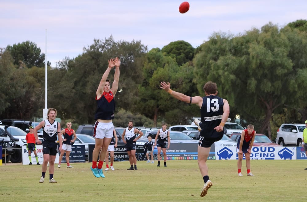 Panthers keep finals hopes alive post image