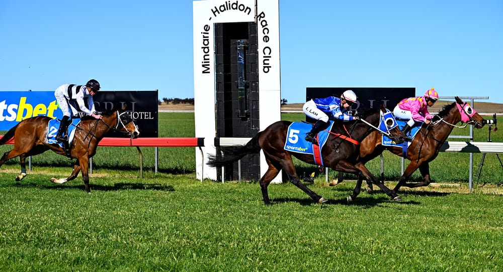 Off and racing…in October post image