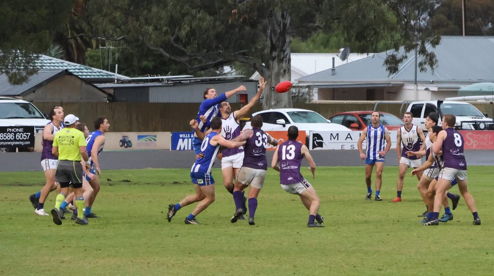 Rovers find their bite at the kennel post image