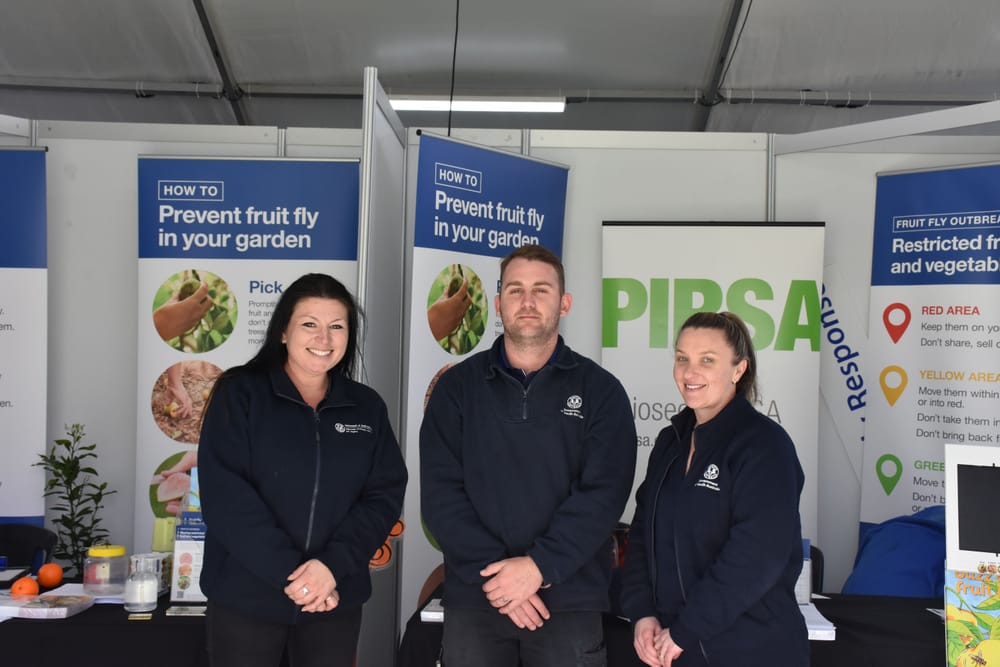 Fruit fly education at Field Days post image