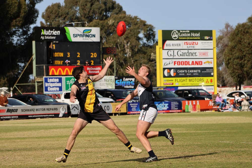 Tigers shake off brave Panthers late post image