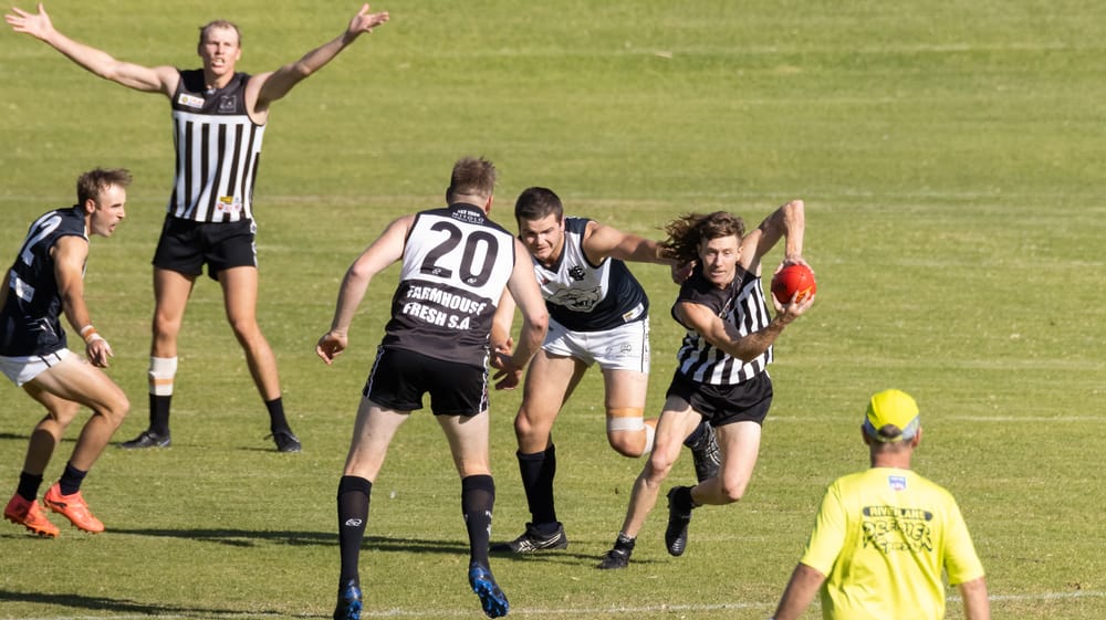 Magpies continue unbeaten start to 2025 post image
