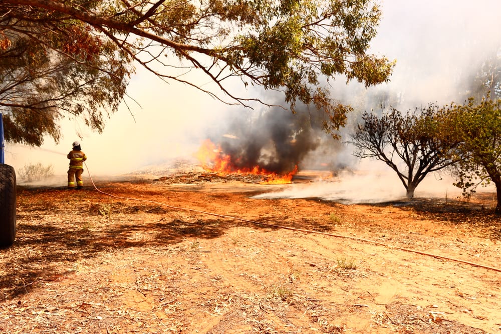 Sulphur burning causes fire at Waikerie property post image