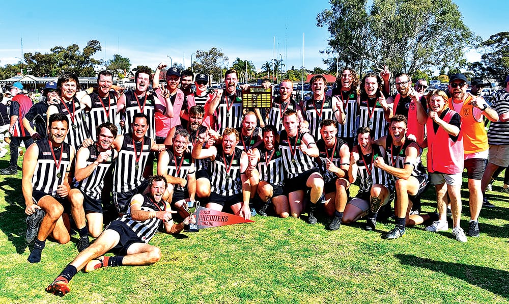 Magpies collect another shiny object post image