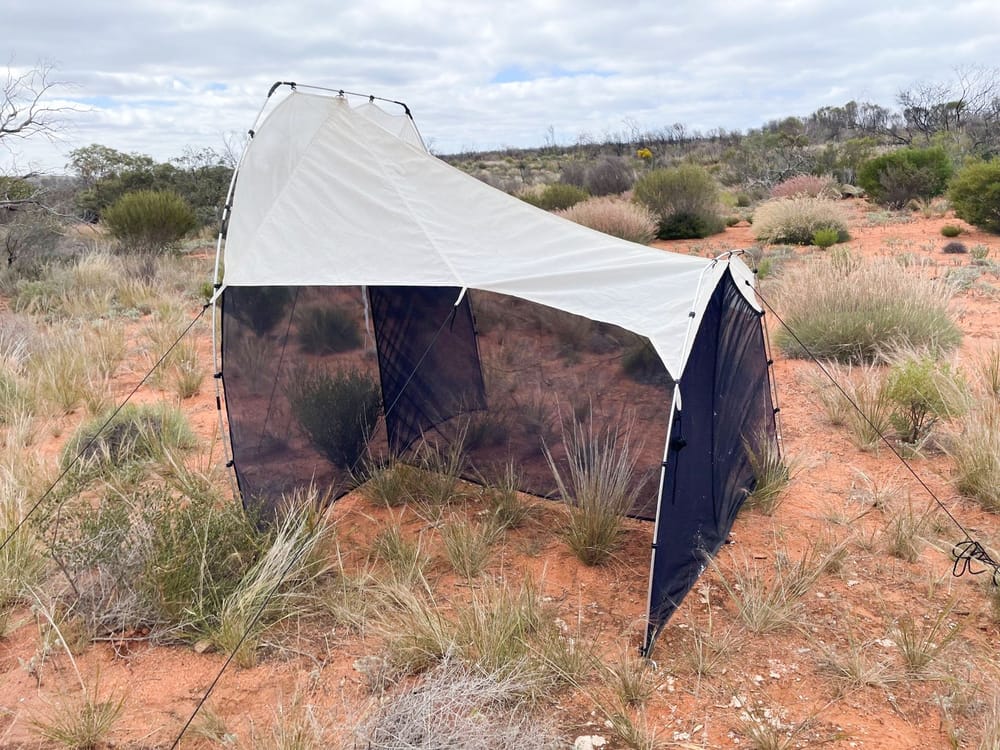 Local insect and biodiversity investigators post image
