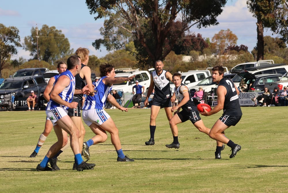 Renmark moves to top of the RFL tree post image