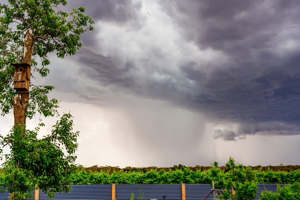 More netting cash to help storm-vulnerable growers post image