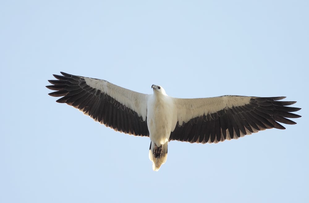 A day to celebrate our wetlands post image