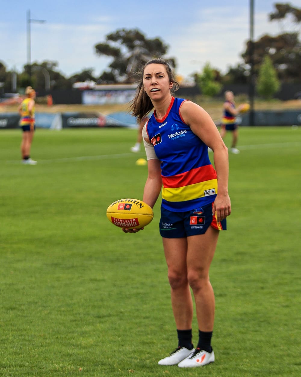 Crows set to fly to the Riverland post image