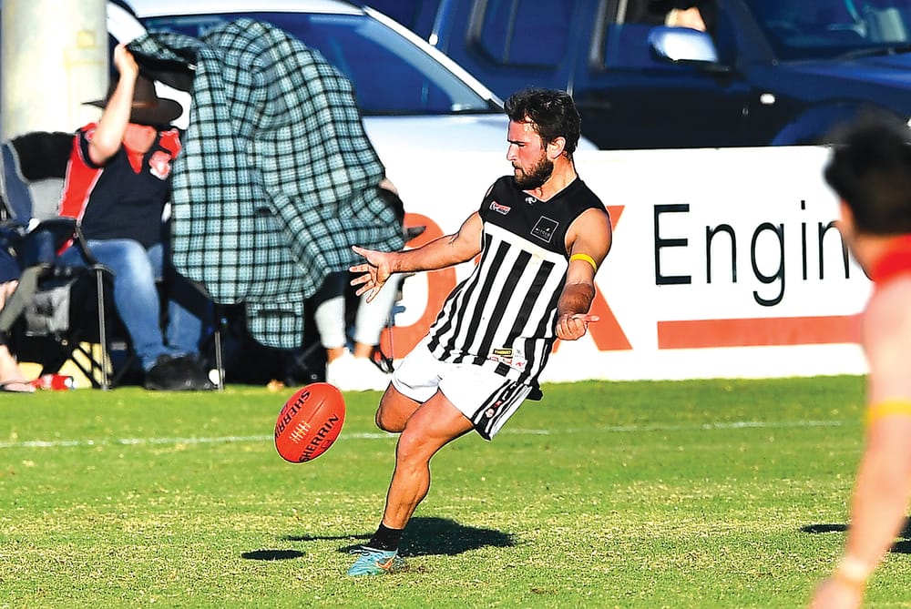 Pies warming up post image