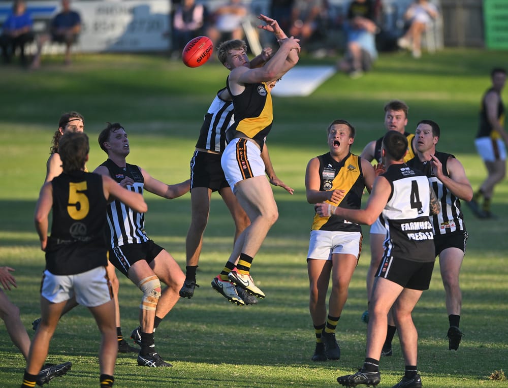 Magpies fly to first win post image