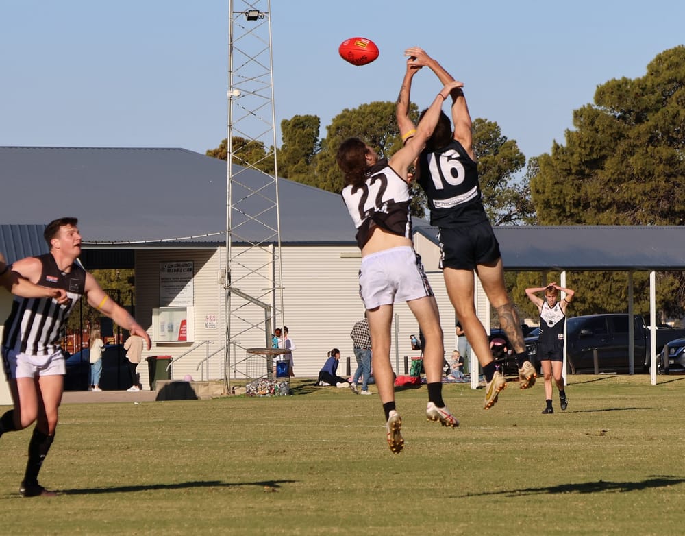 Waikerie make a mark at Panther Park post image