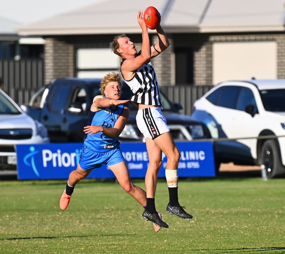 Roos cruise to perfect start post image