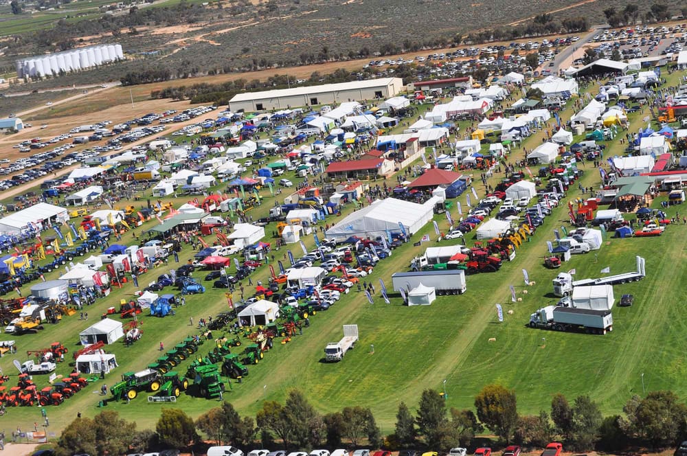 Excitement surrounds return of Field Days post image