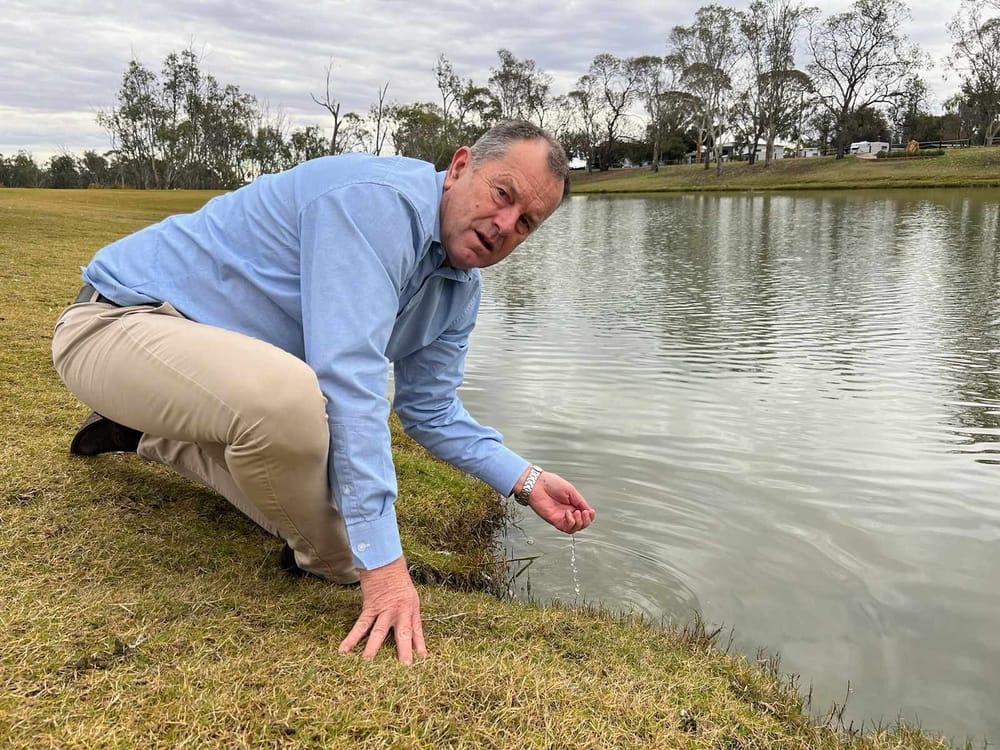 Government downplays blue-green algae risk post image