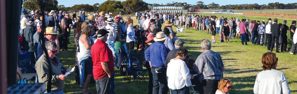 Mindarie-Halidon Racing Club’s committee move to harvest benefits post image