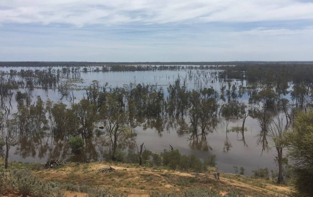 Here comes the sun: Magical memories of summertimes past in the Riverland post image