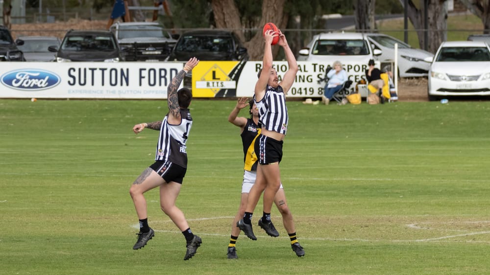 Waikerie get off to winning start under Sutton post image