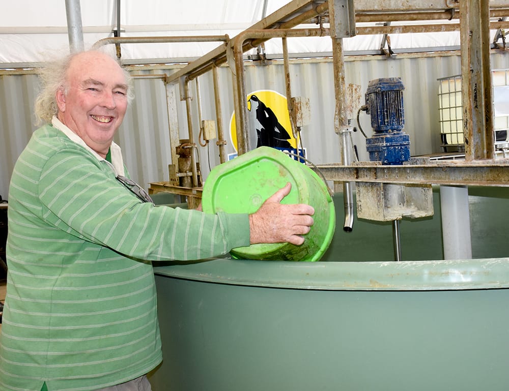 Recent rainfall creates a science project’s “perfect scenario” post image