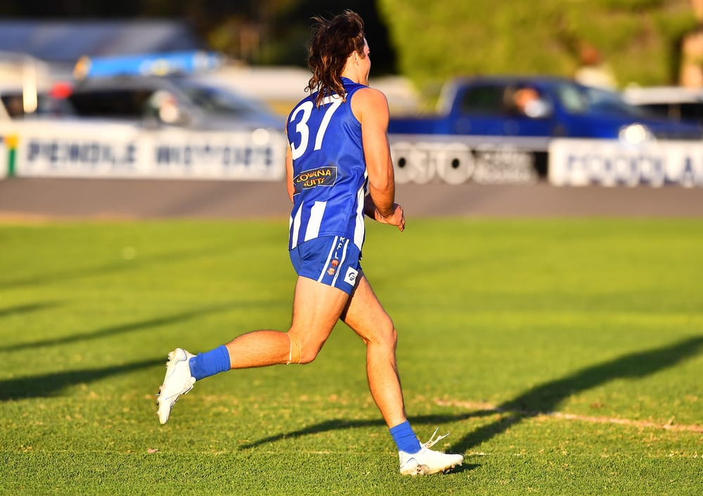 Rovers off the leash post image