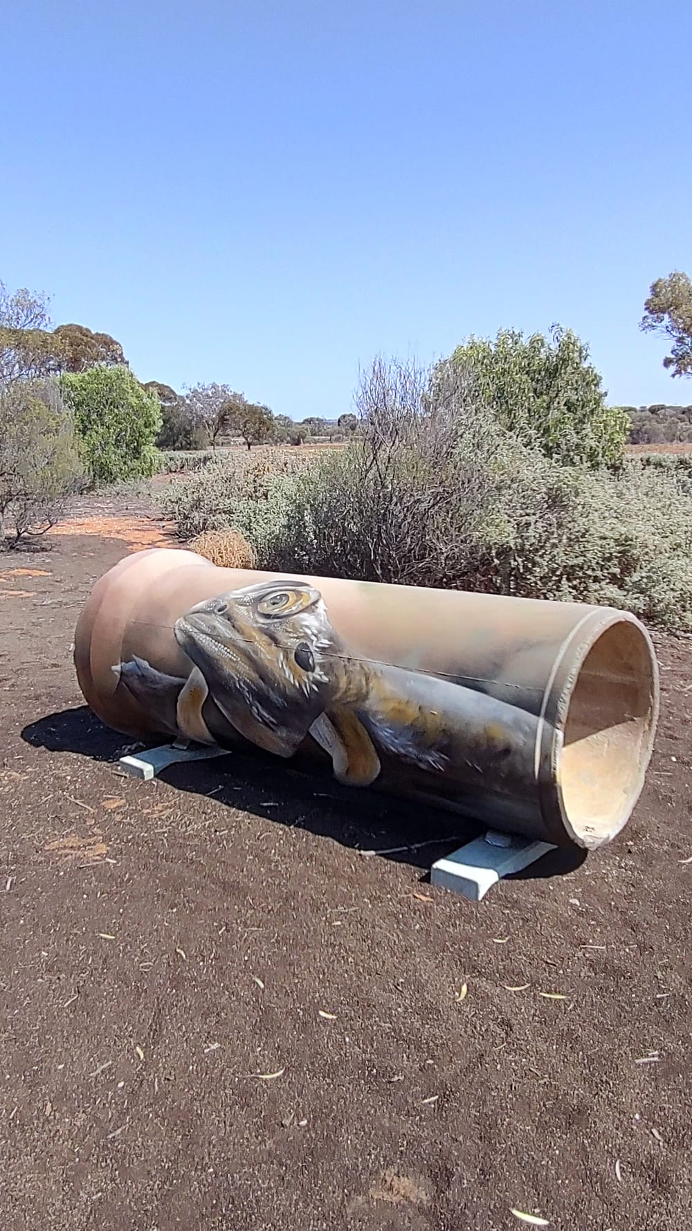 Heritage silos coming to life post image