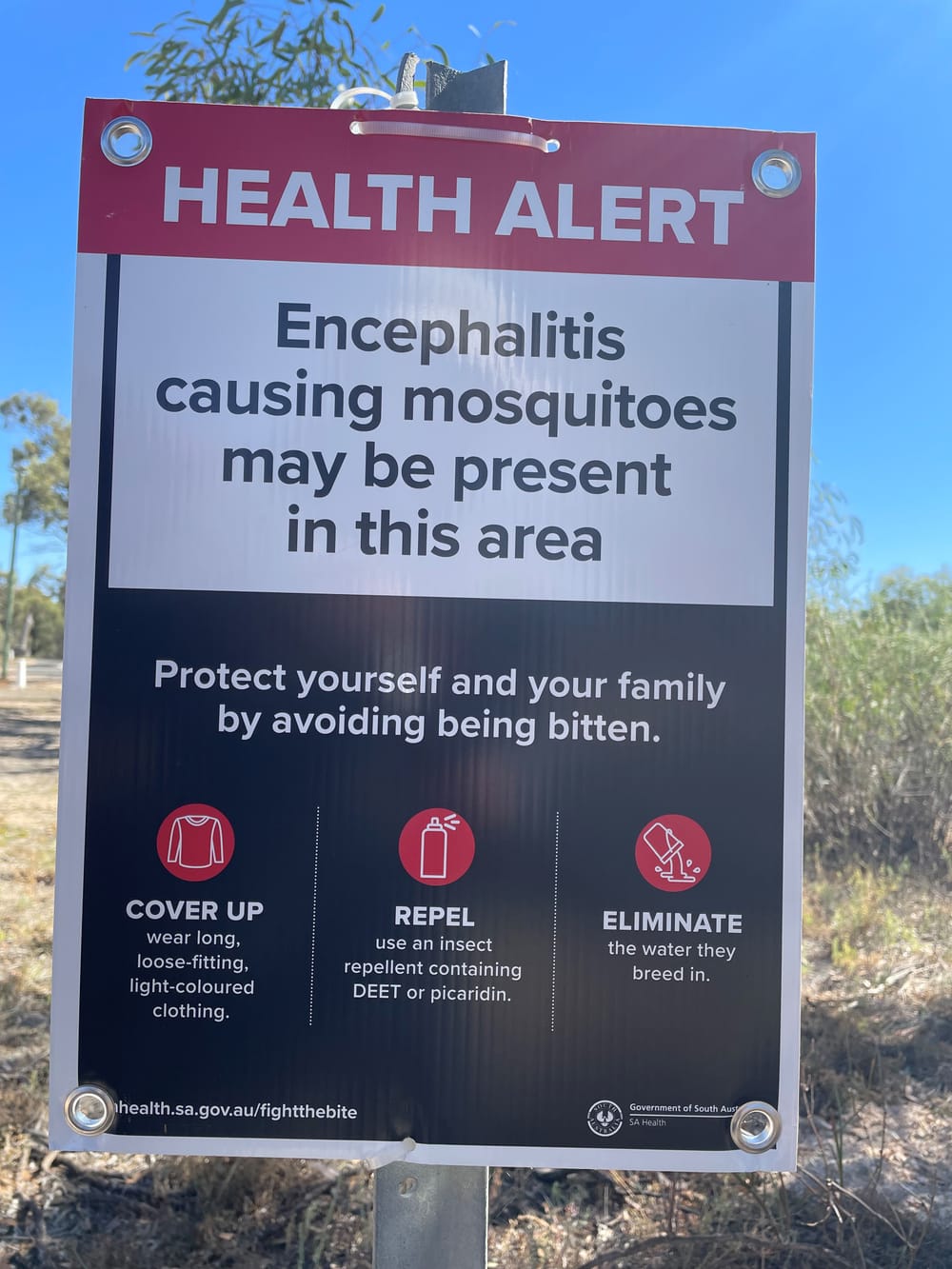 What’s in a word? Mozzies getting ‘a bad rap’ post image