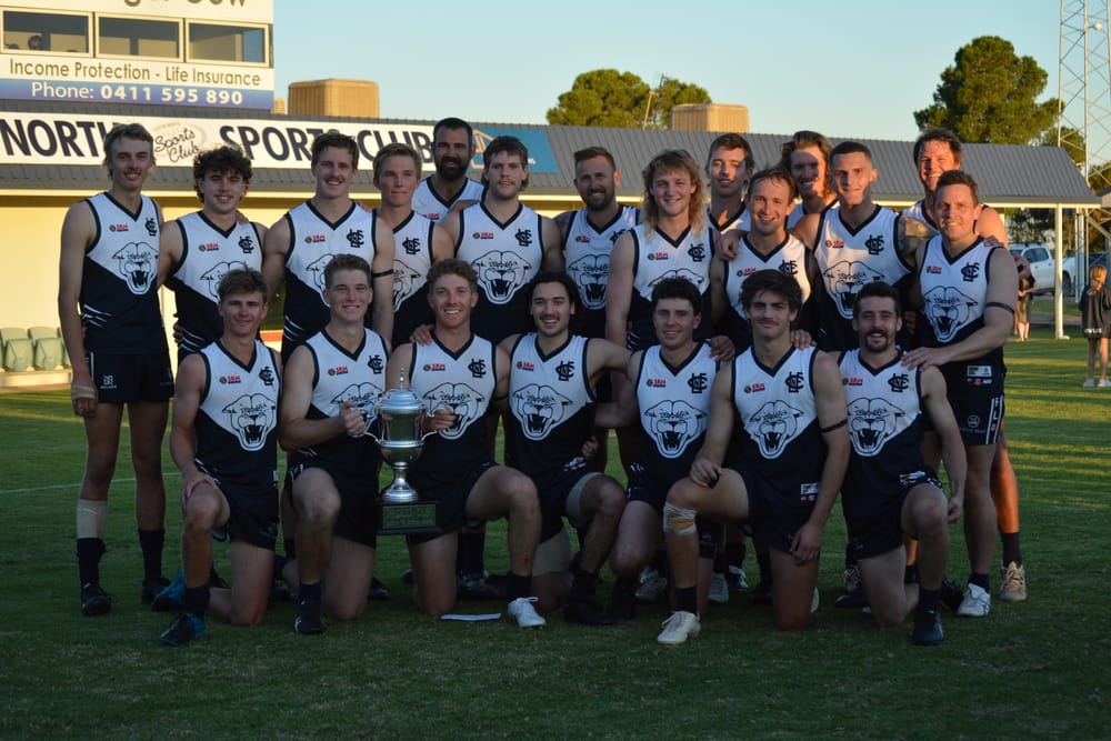 A year in review: Loxton North post image