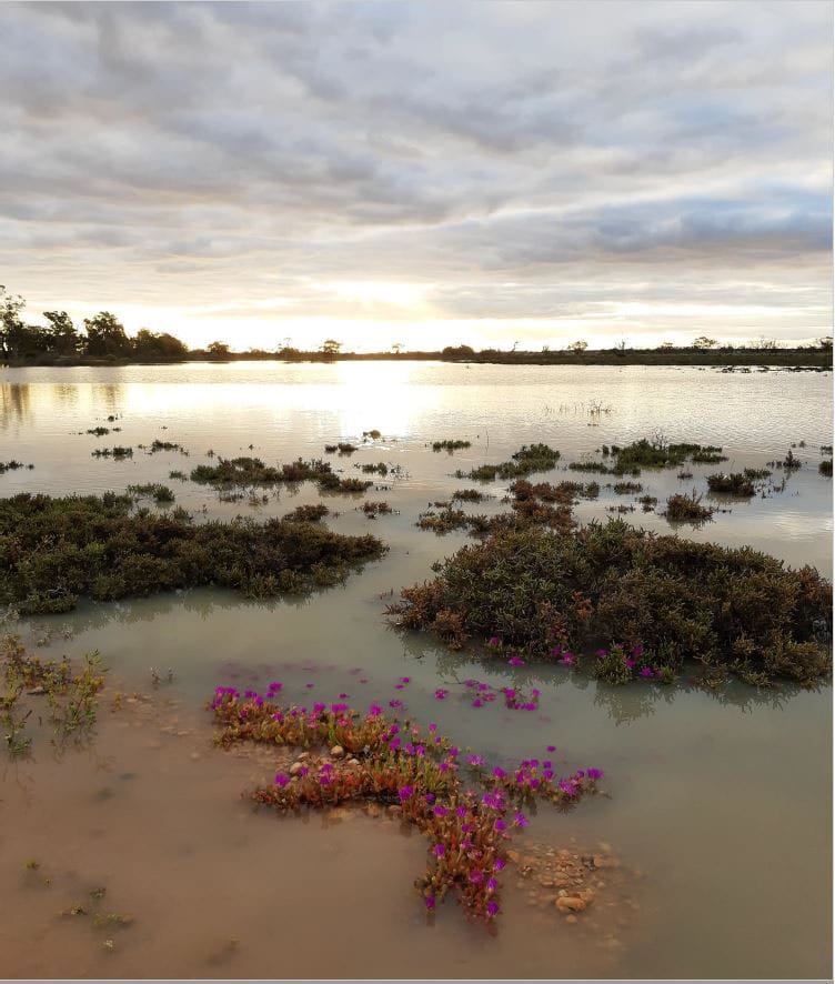 Eye on Riverland campsites post image