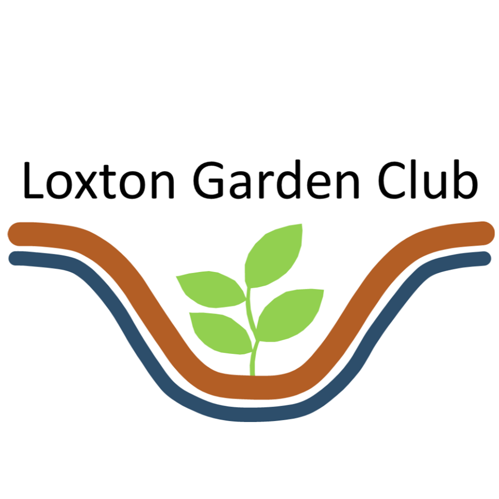 Garden Club’s helping hand post image