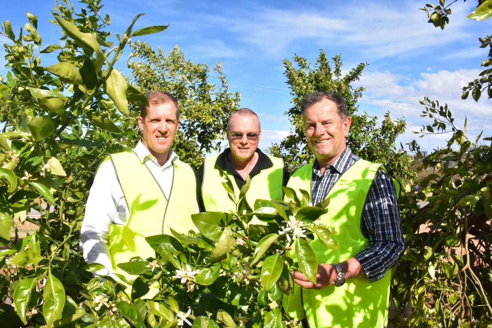 Pat-terson on the back for our citrus industry post image