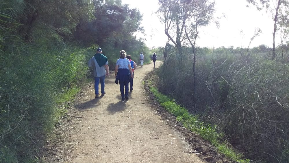 Landcare group showcasing Riverland’s natural beauty post image