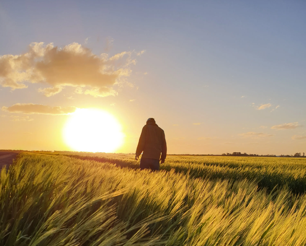 Applications open for new grain research group post image