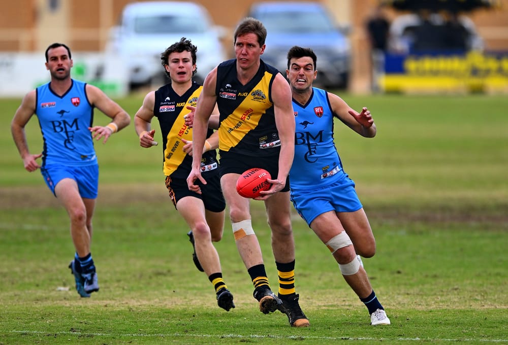 Tigers roar towards 2024’s top four post image