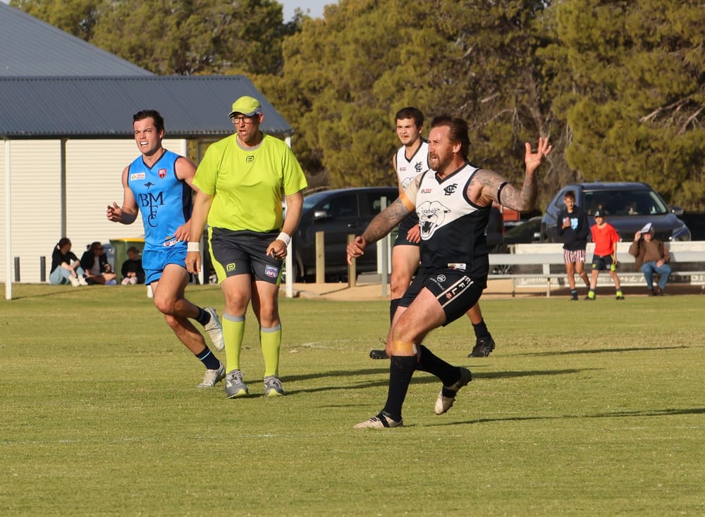 Panthers get season back on track post image