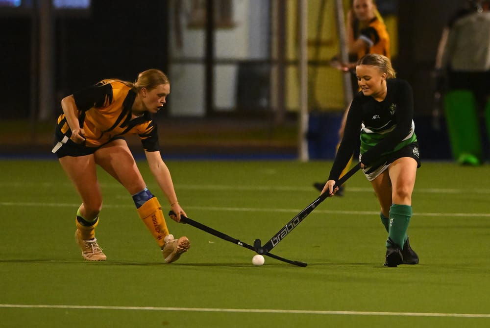 Berri smashes Sunraysia in 11-goal rout post image