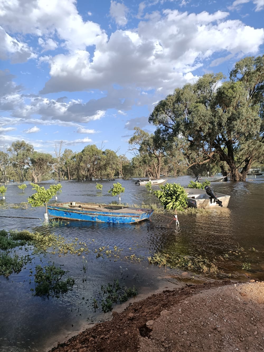 New planning rules a ‘better preparation’ for flood events post image