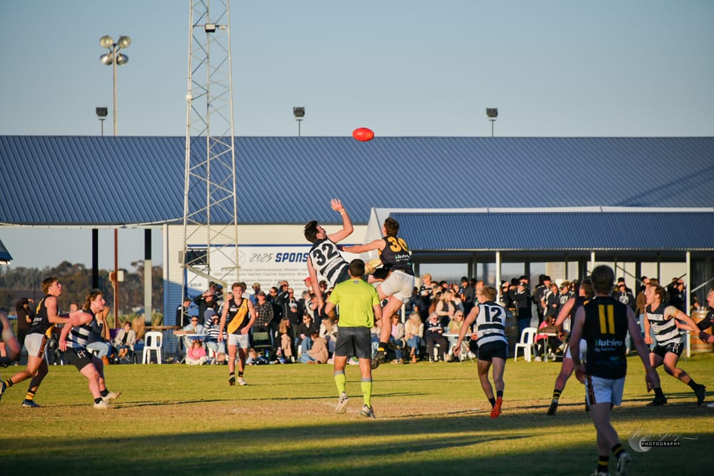 North deliver Tigers a knockout blow post image