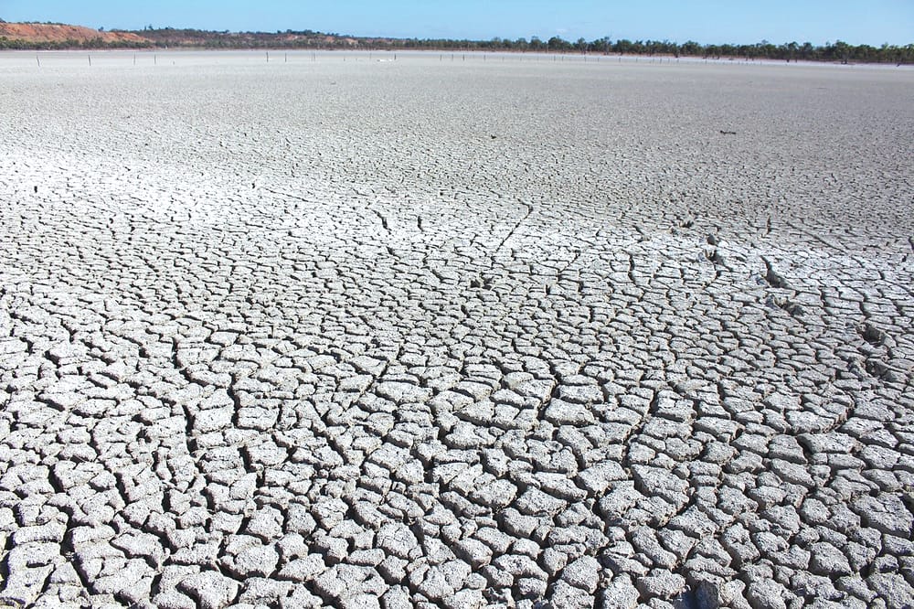 Drying phase set to begin for local lagoons post image