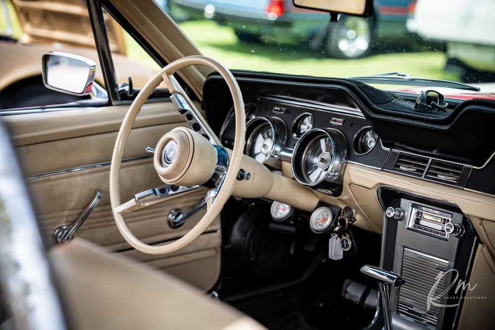 2024 Cruise for Cancer report post image