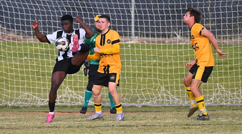 Olympic produces a five-star showing post image