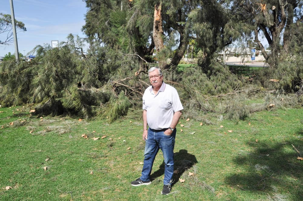 Neighbouring councils chip in for storm clean-up post image