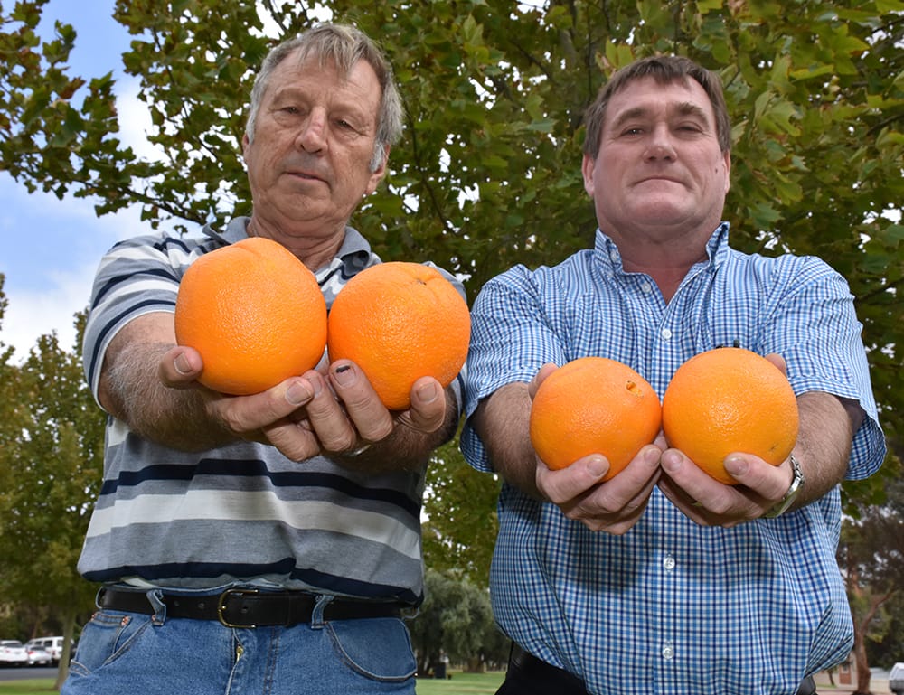 Fruit fly quarantines set to end post image