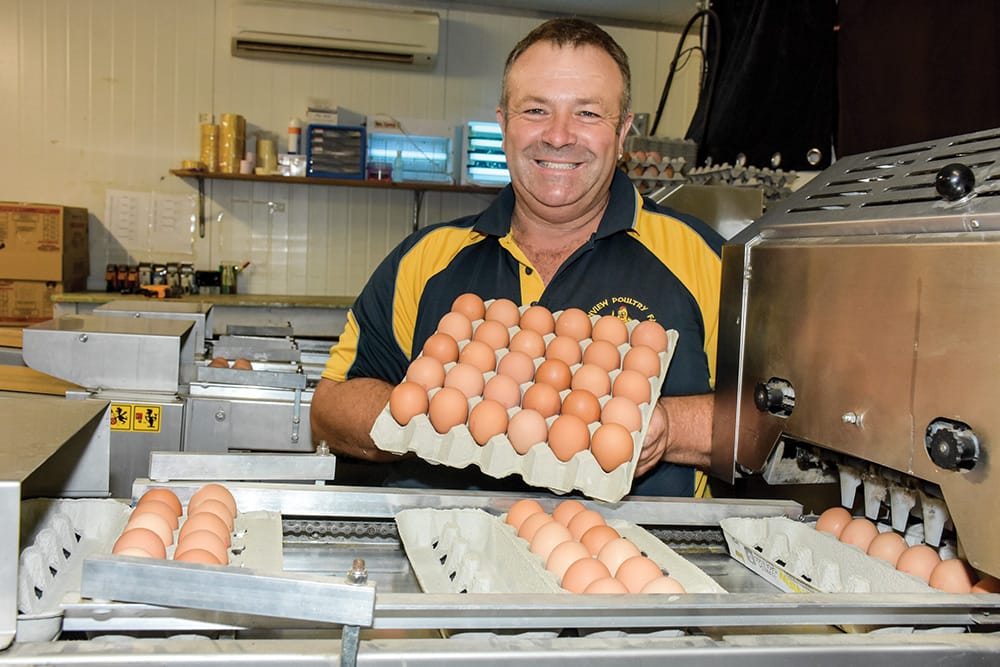 Crook ‘Chook’ to get second jab post image