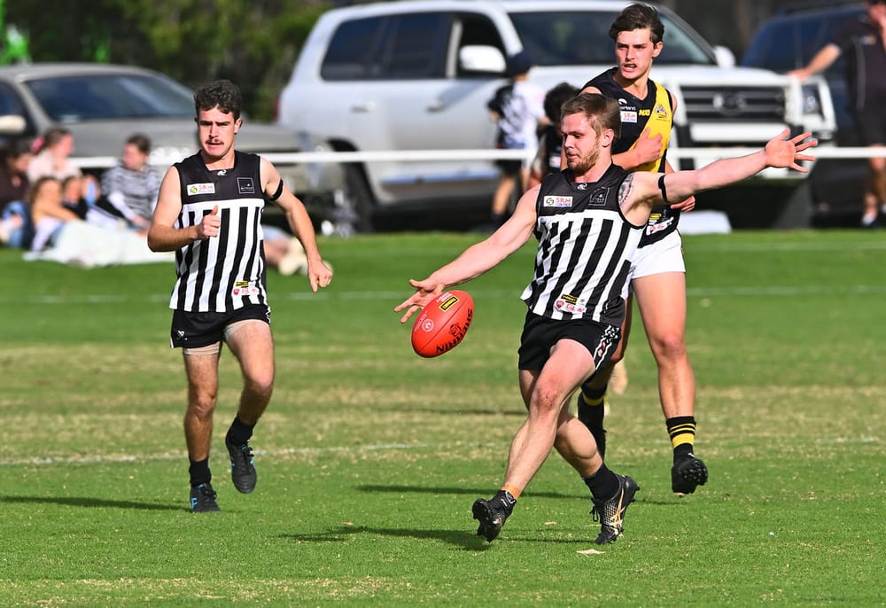 Magpies keep marching on post image