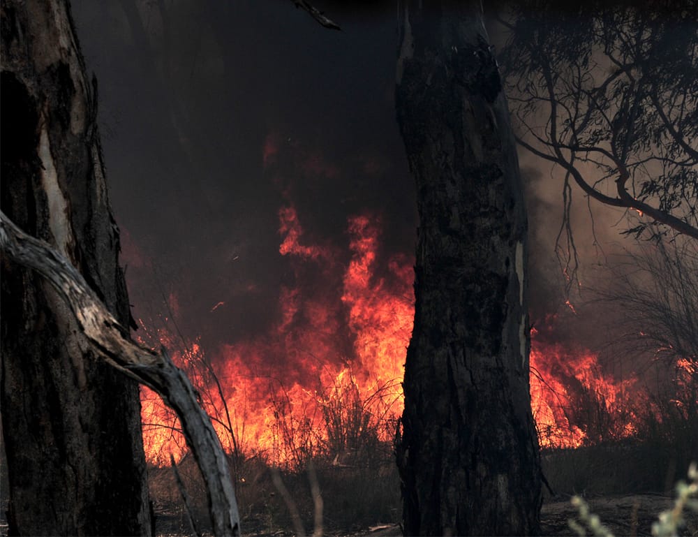 Bushfires remain a risk this summer, warns Tim post image
