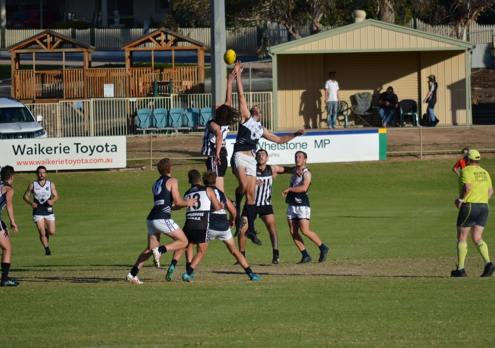 North stars light up Waikerie post image